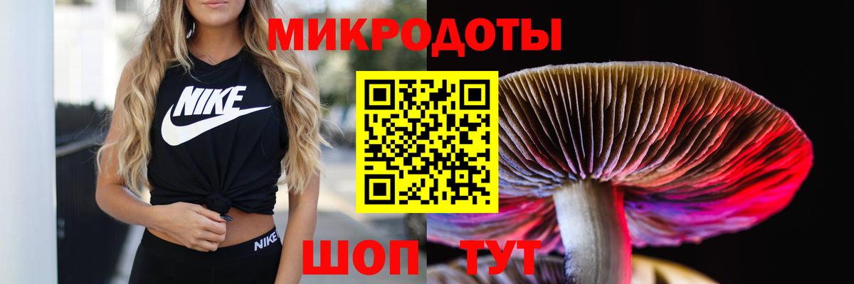 Торжок  Псилоцибиновые грибы Magic Shrooms  Вход с VPN 